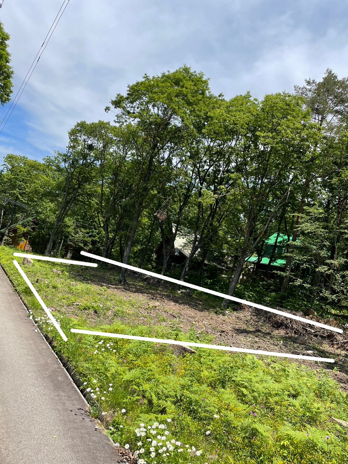 郡上土地売り物件