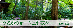 オークヒル案内