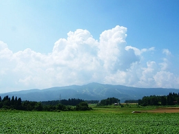 夏　ひるがの高原